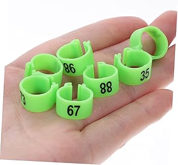 Amazon.co.jp: 100個 ウズラ インドア マーカー ウズラ 足